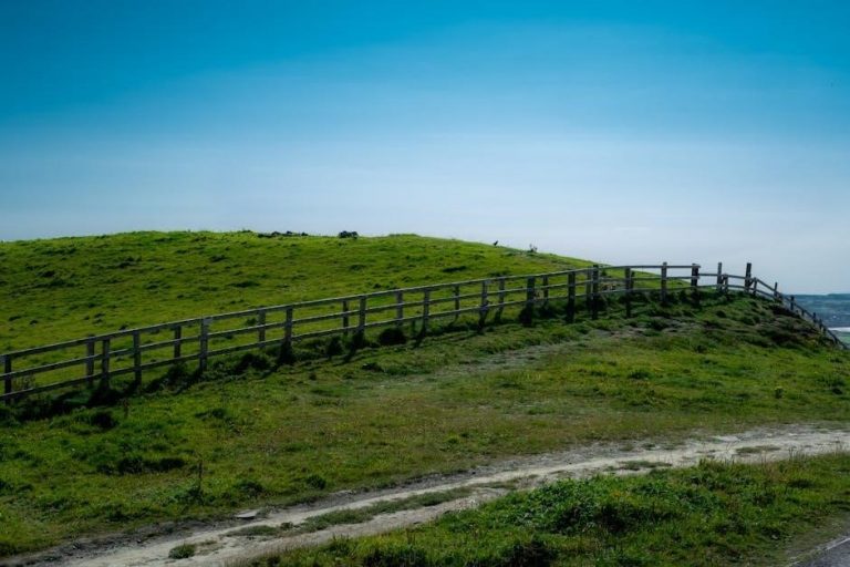 sentinels and guides